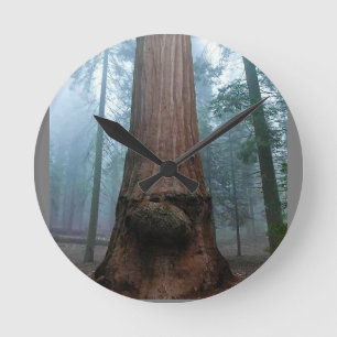 Reloj Redondo Mediano Árbol de secuoyas gigantes en Grant Grove, CA