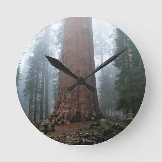 Reloj Redondo Mediano Árbol general Sherman, Sequoia, CA (Anverso)