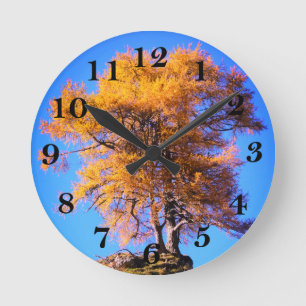 Reloj Redondo Mediano Árbol otoñal