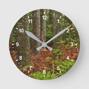 Reloj Redondo Mediano Árboles Kuri   Nueva Zelanda