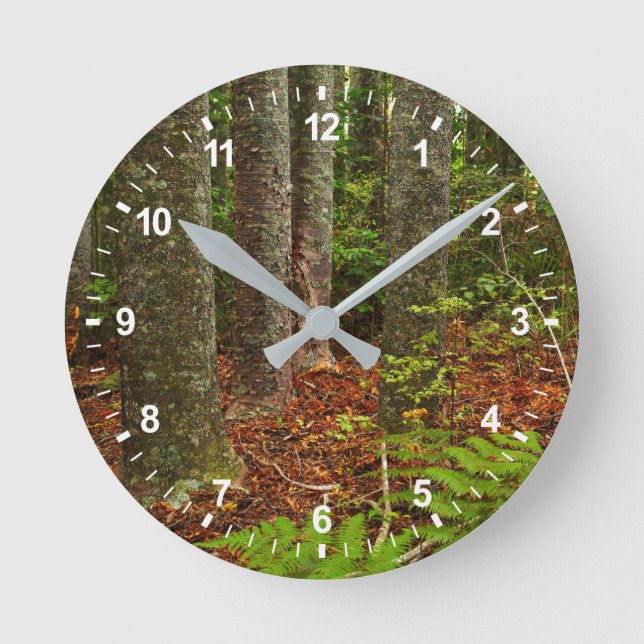 Reloj Redondo Mediano Árboles Kuri | Nueva Zelanda (Anverso)
