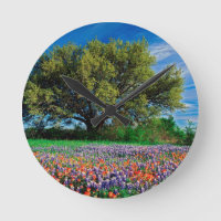 Árboles Live Oak entre los Bluebonnets de Tejas