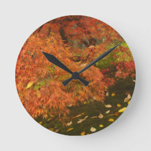 Reloj Redondo Mediano Arce japonés en color de otoño