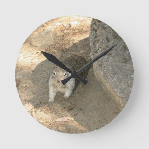 Reloj Redondo Mediano Ardilla Cuta en Yosemite, CA