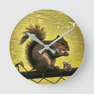 Reloj Redondo Mediano ardilla gris oriental (Sciurus carolinensis)