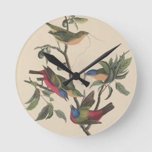 Reloj Redondo Mediano Arte de ave colorido Pintor pintado vintage Audubo