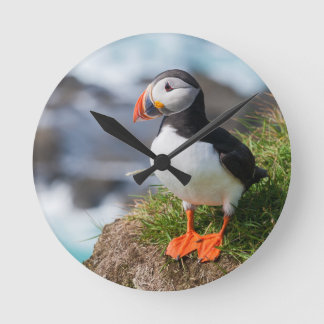 Reloj Redondo Mediano Ártica tropical de Puffin Atlántico