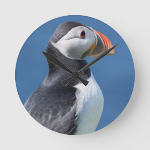 Reloj Redondo Mediano Atlantic Puffin (Fratercula Arctica) On Cliff