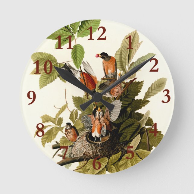 Reloj Redondo Mediano Audubon American Robin Wildlife Bird Ilustracion (Anverso)