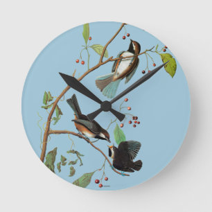 Reloj Redondo Mediano Audubon: Chickadee