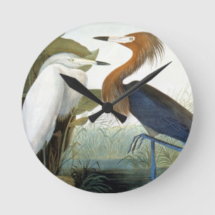Reloj Redondo Mediano Audubon: Egret rojizo o garza púrpura