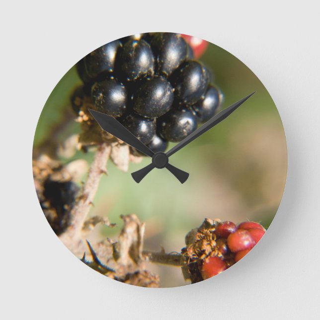 Reloj Redondo Mediano Autumn Berries (Anverso)