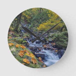 Reloj Redondo Mediano Autumn Color Along Starvation Creek Falls