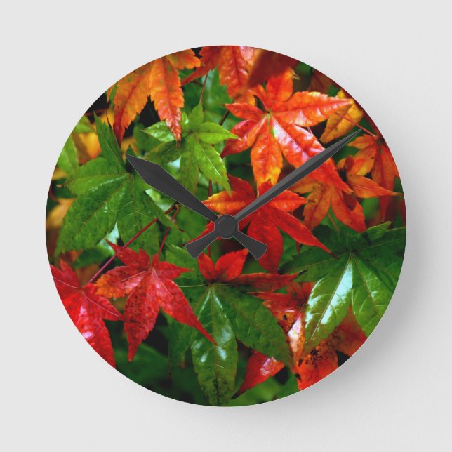 Reloj Redondo Mediano Autumn Rain (Anverso)