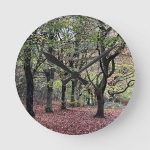 Reloj Redondo Mediano Autumn Trees Rivington