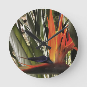 Reloj Redondo Mediano Ave del Paraíso Strelitzia Reginae Acrílico Painti