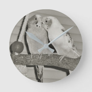 Reloj Redondo Mediano Aves