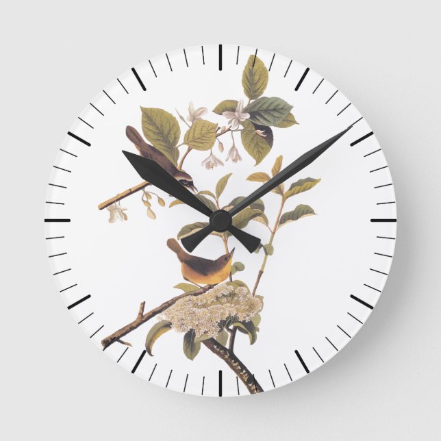 Reloj Redondo Mediano Aves amarillentas de Maryland de Audubon con flore (Anverso)