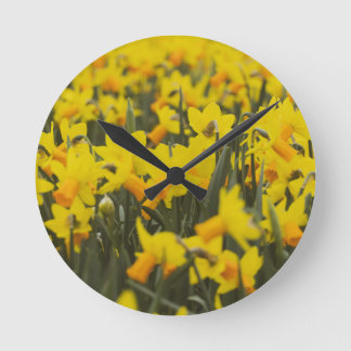 Reloj Redondo Mediano Azulejo de cerámica Campo de Narcisos