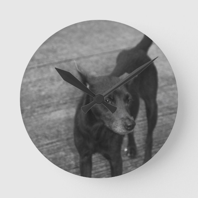 Reloj Redondo Mediano B&W - Aspin (Anverso)