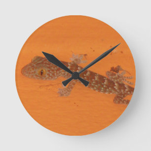 Reloj Redondo Mediano Baby Tokay Gecko