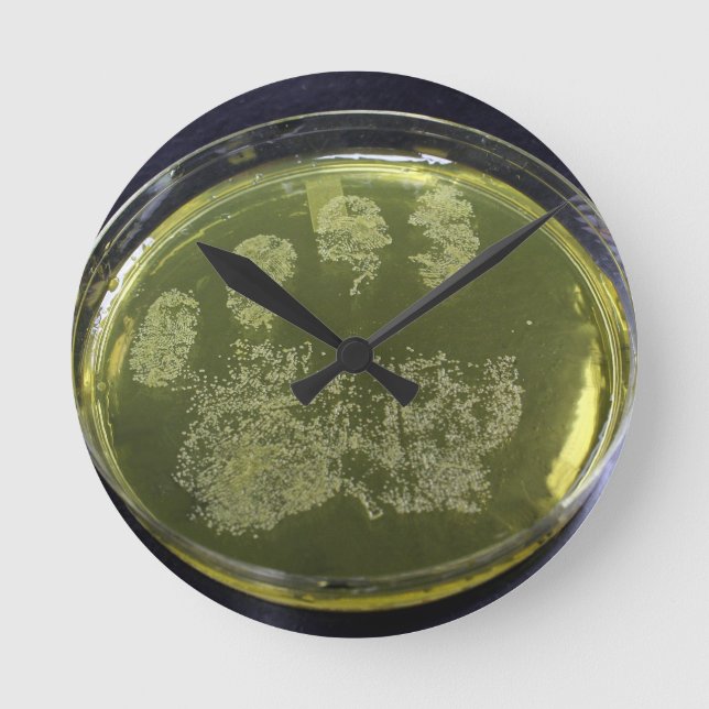 Reloj Redondo Mediano Bacteria Hand Petri Dish (Anverso)