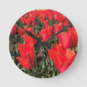 Reloj Redondo Mediano Ballerina Tulips, Oregón