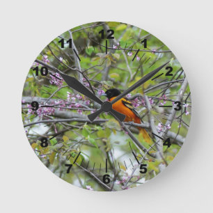 Reloj Redondo Mediano Baltimore Oriole