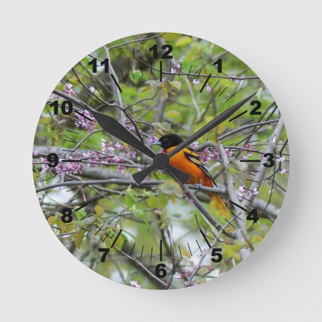 Reloj Redondo Mediano Baltimore Oriole (Anverso)