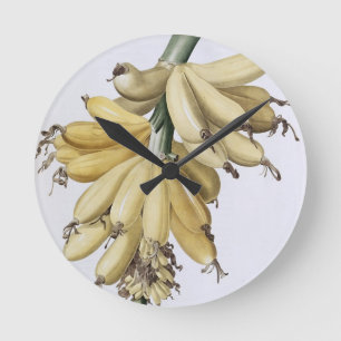 Reloj Redondo Mediano Banana, 1816