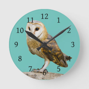 Reloj Redondo Mediano Barn Owl