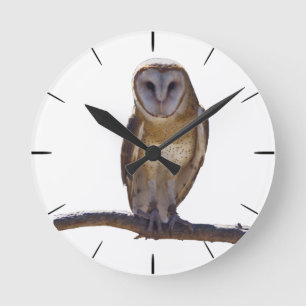 Reloj Redondo Mediano Barn Owl