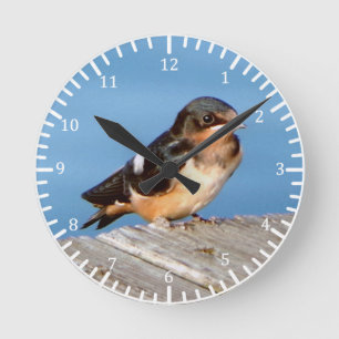 Reloj Redondo Mediano Barn Swallow clock