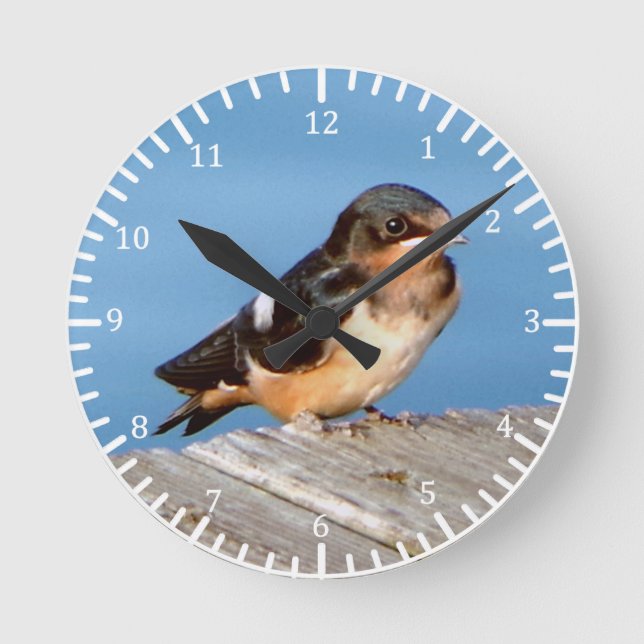 Reloj Redondo Mediano Barn Swallow clock (Anverso)