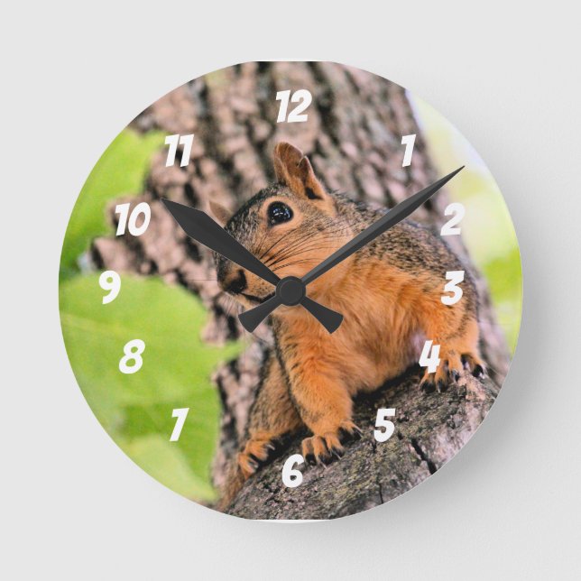 Reloj Redondo Mediano Bashful (Anverso)