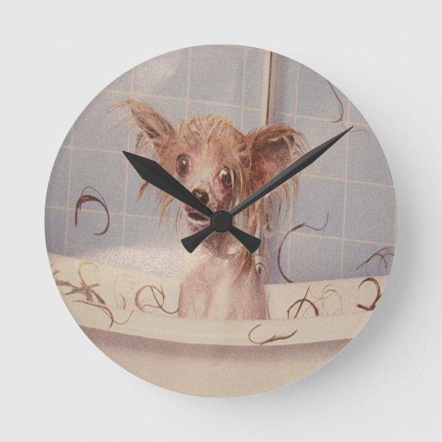 RELOJ REDONDO MEDIANO BATHING PUPPY (Anverso)