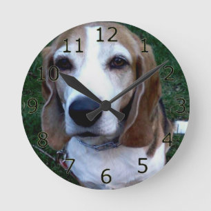 Reloj Redondo Mediano Beagle Basset Dog