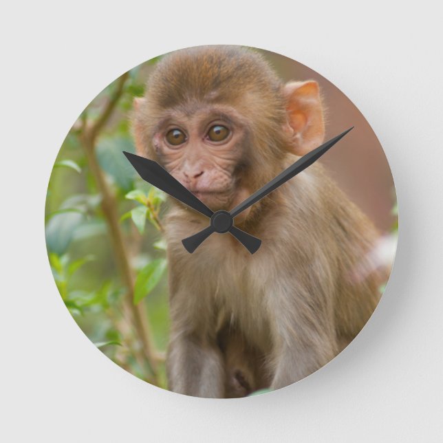 Reloj Redondo Mediano Bebé del macaco de la India, templo del mono, (Anverso)