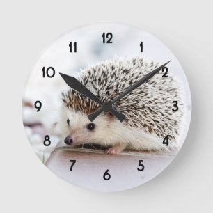 Reloj Redondo Mediano Bebé dulce Hedgehog