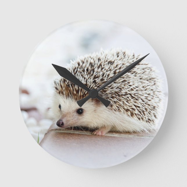 Reloj Redondo Mediano Bebé Erizo Adorable (Anverso)
