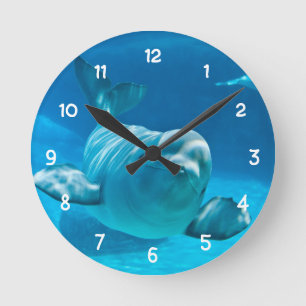 Reloj Redondo Mediano Beluga Whale