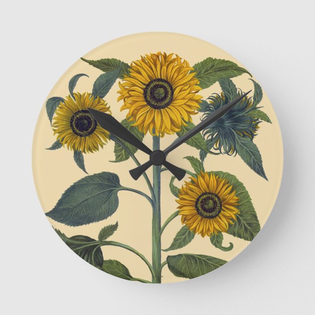 Reloj Redondo Mediano Besler: Girasol (Anverso)