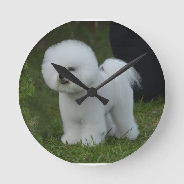 Reloj Redondo Mediano Bichon Adorable (Anverso)
