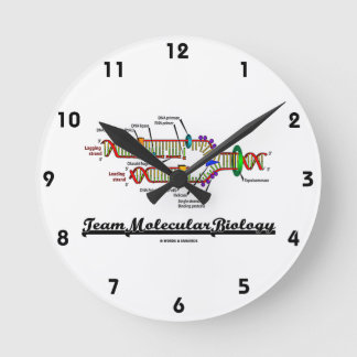 Reloj Redondo Mediano Biología molecular del equipo (réplica de la DNA)