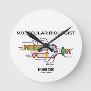 Reloj Redondo Mediano Biólogo molecular interno (replicación del ADN)