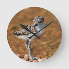 Reloj Redondo Mediano Bird