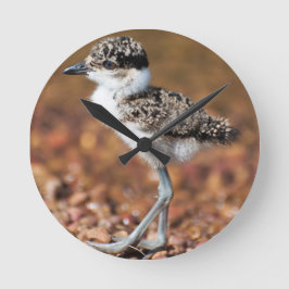 Reloj Redondo Mediano Bird