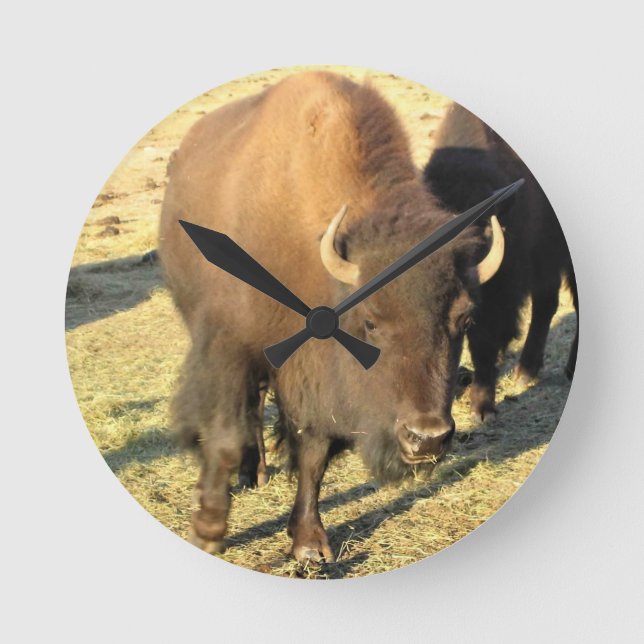 Reloj Redondo Mediano Bison de Colorado (Anverso)