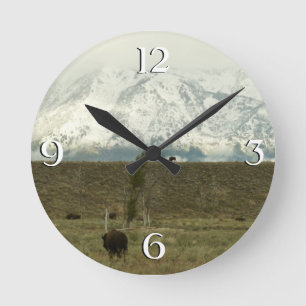 Reloj Redondo Mediano Bison en el Parque Nacional Grand Teton Fotografía