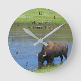 Reloj Redondo Mediano Bisonte del parque nacional de Yellowstone en la